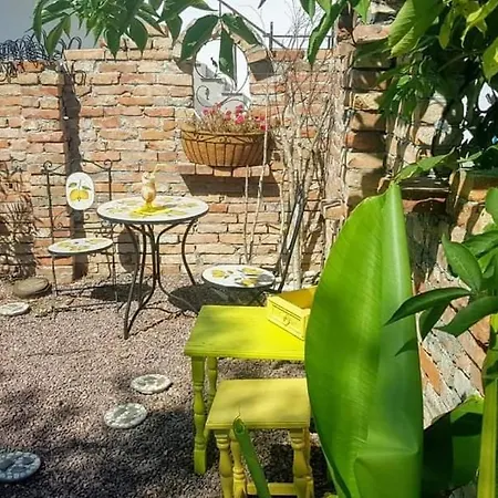 Boemul Maison d'hôtes Neptun