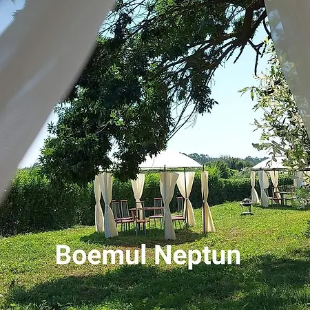 Boemul