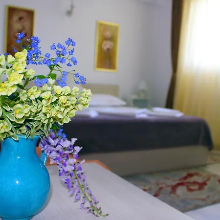 Vendégház Boemul Neptun