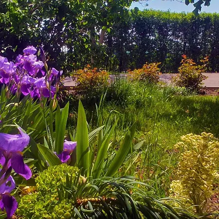 Maison d'hôtes Boemul 3*