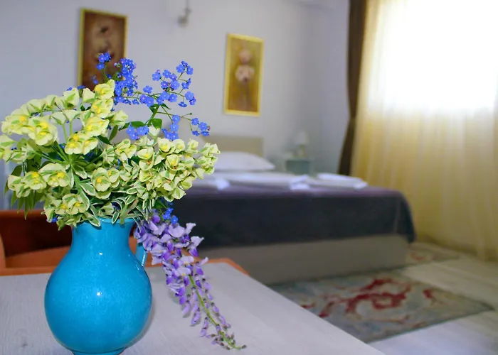 Vendégház Boemul Neptun