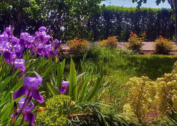 Vendégház Boemul 4*