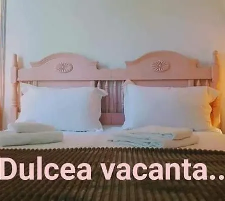 招待所 Boemul 尼普顿