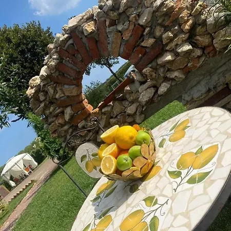 Pensionat Boemul Neptun