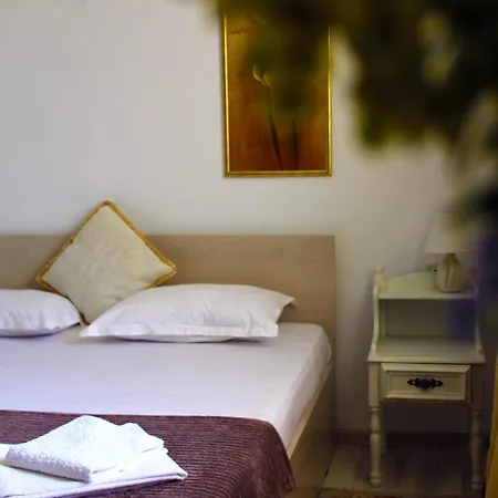 Boemul 招待所 尼普顿