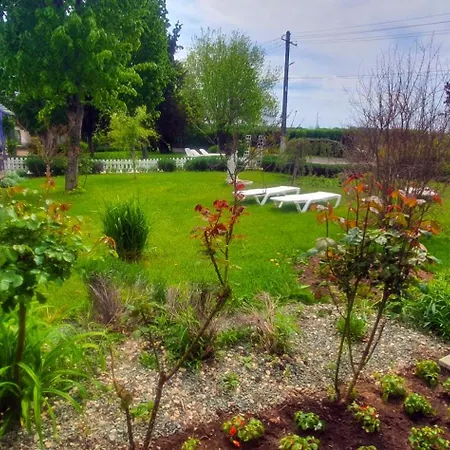 Boemul Pensionat Neptun