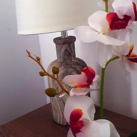 Boemul 招待所 尼普顿