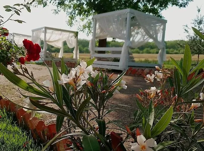 Гостевой дом Boemul Нептун