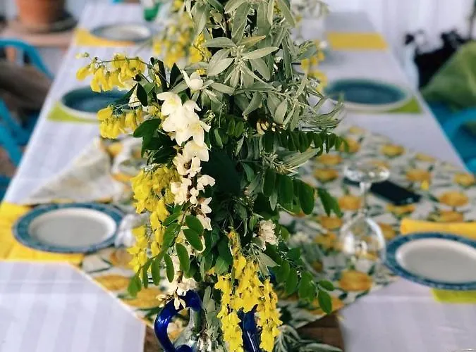 Boemul ネプトゥン