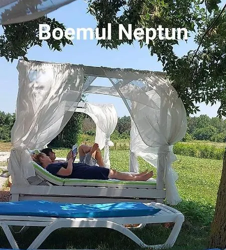 Boemul ゲストハウス