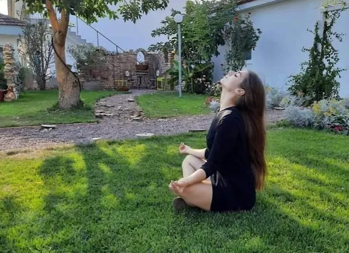 Boemul ゲストハウス 4*