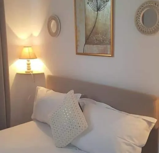 Boemul ゲストハウス