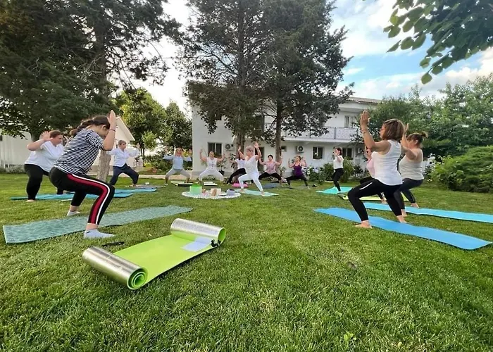 Boemul ゲストハウス