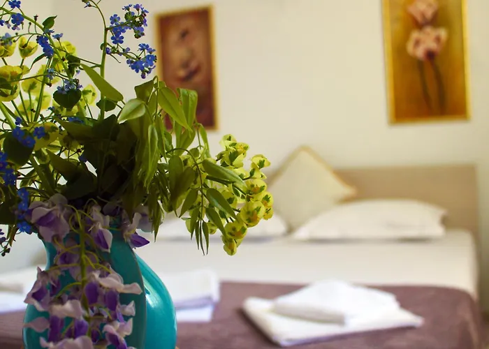 Boemul ゲストハウス 4*