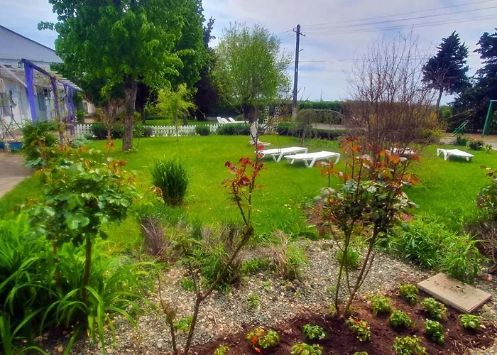 Boemul ゲストハウス ネプトゥン