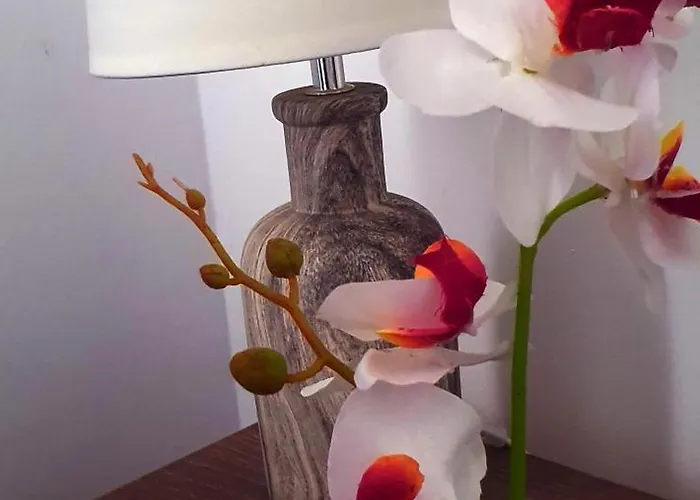 Boemul ゲストハウス ネプトゥン