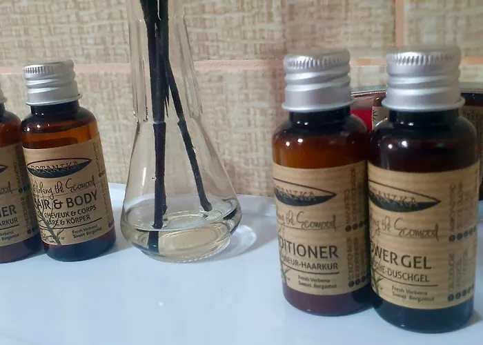 Boemul ネプトゥン