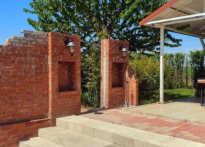 Boemul ゲストハウス